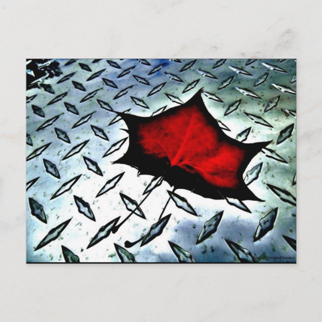 "Red Maple" JTG Art Postcard (Front)
