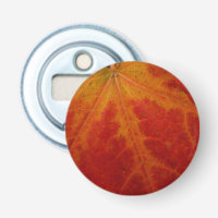 Red Maple Leaf Abstract Autumn Nature Photography
