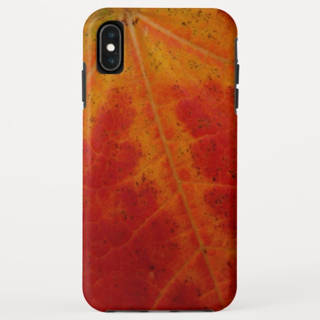 Red Maple Leaf Abstract Autumn Nature Photography Case-Mate iPhone Case (Back)