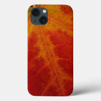 Red Maple Leaf Abstract Autumn Nature Photography