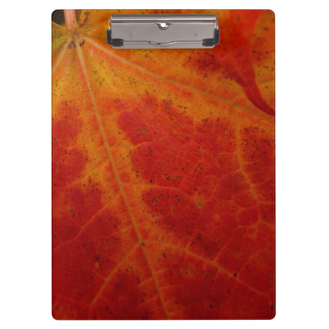Red Maple Leaf Abstract Autumn Nature Photography Clipboard (Front)