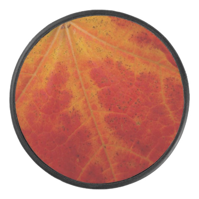 Red Maple Leaf Abstract Autumn Nature Photography Hockey Puck (Front)