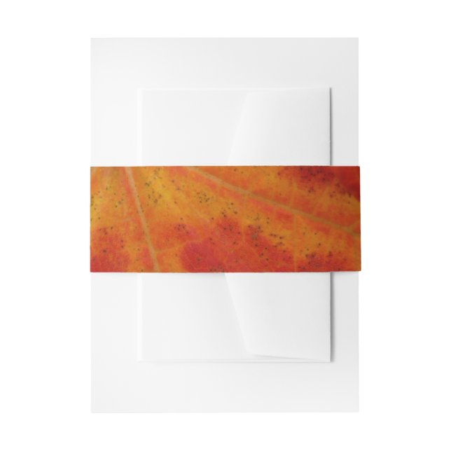 Red Maple Leaf Abstract Autumn Nature Photography Invitation Belly Band (Front Example)