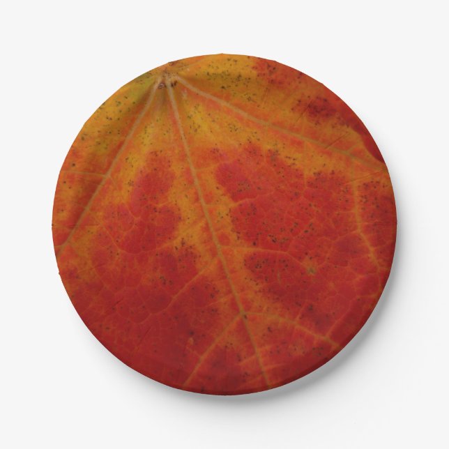 Red Maple Leaf Abstract Autumn Nature Photography Paper Plate (Front)