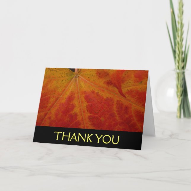 Red Maple Leaf Abstract Autumn Nature Photography Thank You Card (Front)