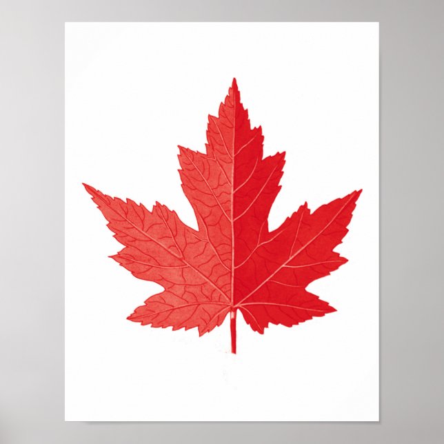Red Maple leaf Canada Day art print no.11 (Front)