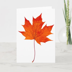 Red maple leaf card