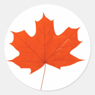 Red maple leaf classic round sticker