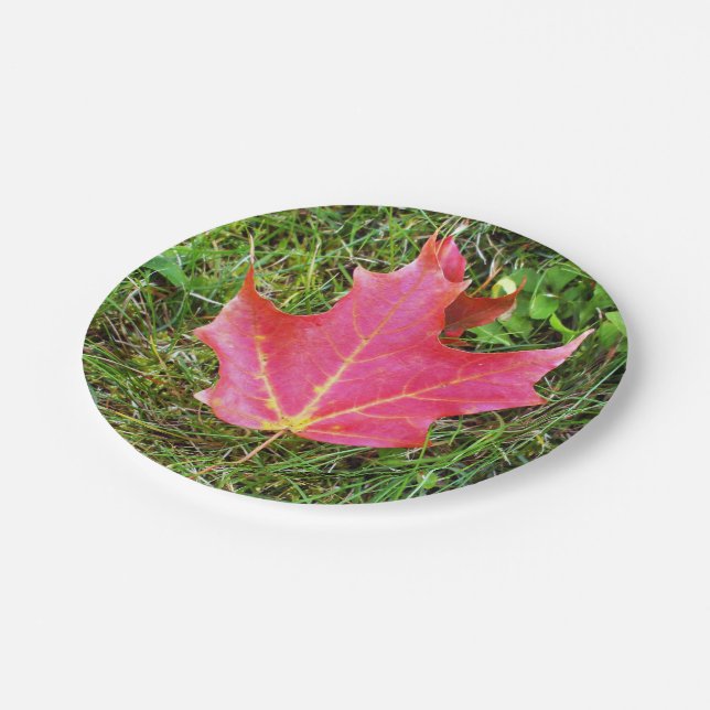 Red Maple Leaf on Grass Paper Plate (Angled)
