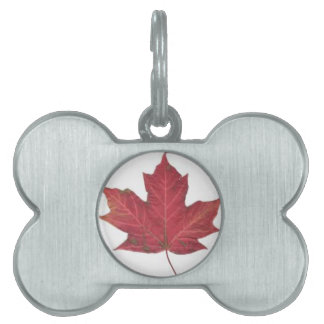 Red Maple Leaf Pet Tag