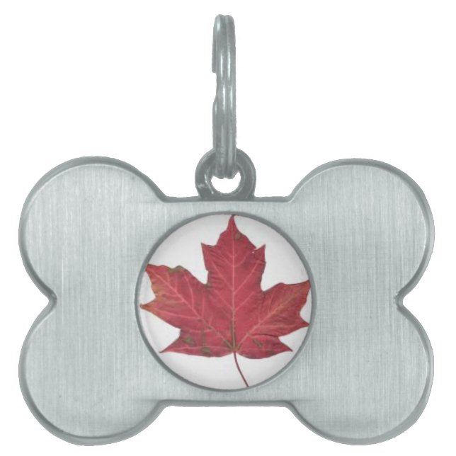 Red Maple Leaf Pet Tag (Front)