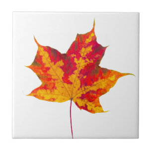 Red maple leaf tile