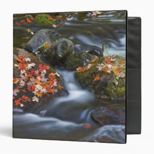 Red maple leaves carpet the rocks in the binder