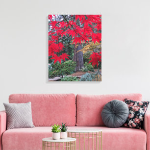 Red Maple Leaves in a Japanese Garden Canvas Print