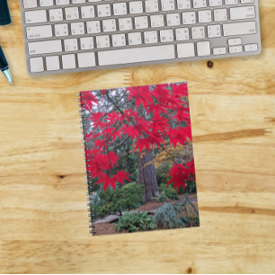 Red Maple Leaves in a Japanese Garden Notebook