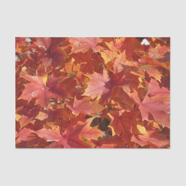 Red Maple Leaves Tissue Paper (Front)