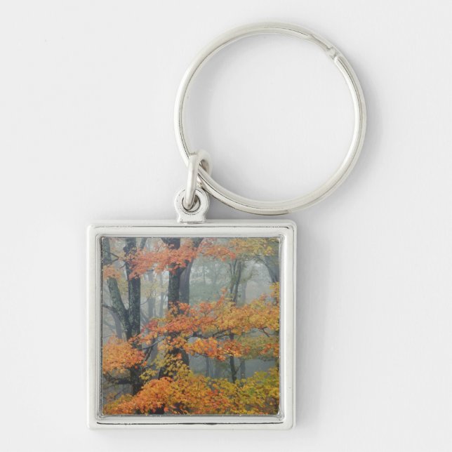 Red Maple tree, Acer rubrum, portrait in foggy Keychain (Front)