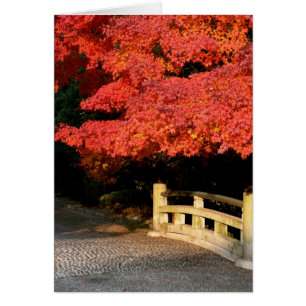 Red Maple tree and Japanese Bridge