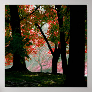 Red Maple Tree Foliage Poster