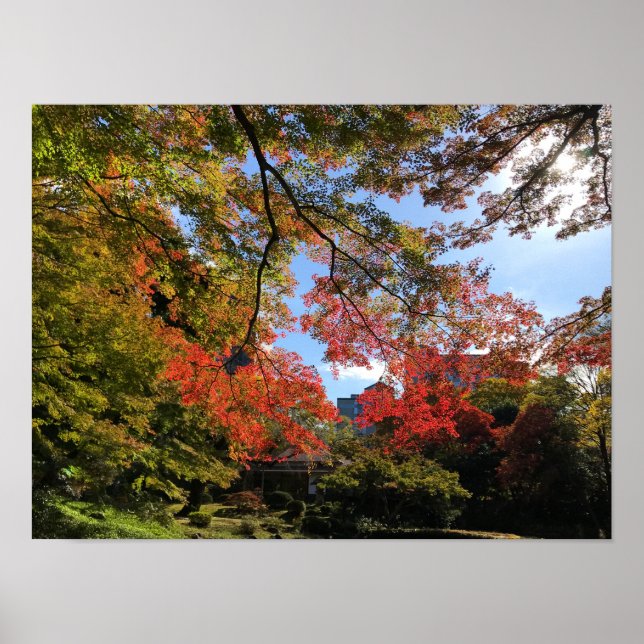 Red Maples at Japanese Garden Poster (Front)