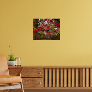 Red Maples Leaves and Bamboo Fence Photo Poster