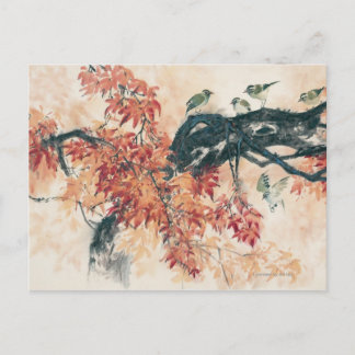 Red Maples Postcard