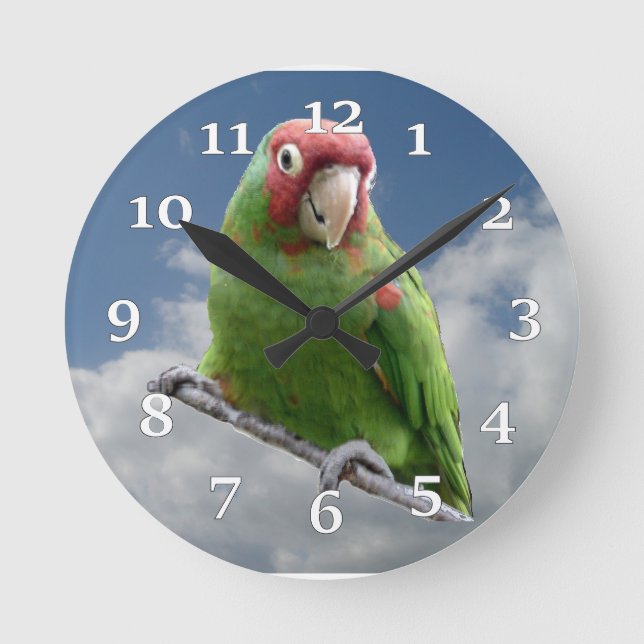Red Masked Parakeet Wall Clock (Front)