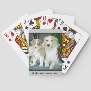 Red Merle Aussie playing cards. Playing Cards