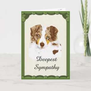 Red Merle Aussie Sympathy custom greeting cards