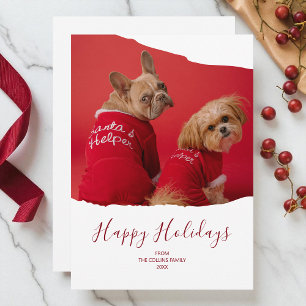 Red Minimalist Pet Photo Happy Holidays Christmas Holiday Card