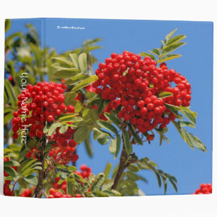 Red Mountain Ash Berries Binder