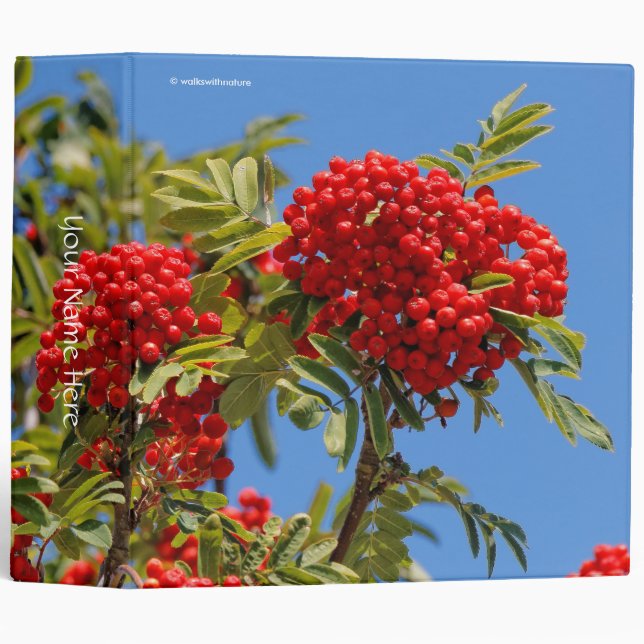 Red Mountain Ash Berries Binder (Front/Spine)