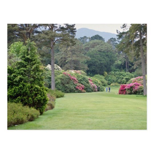Red Muckross House Gardens, Ireland flowers Postcard