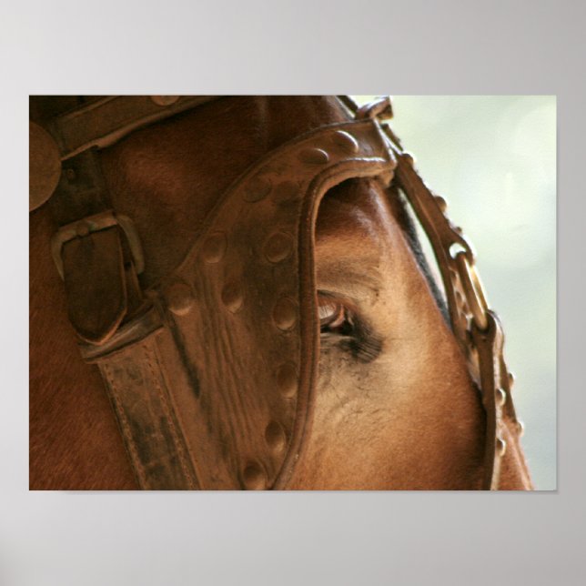 Red Mule - Poster des yeux (Devant)