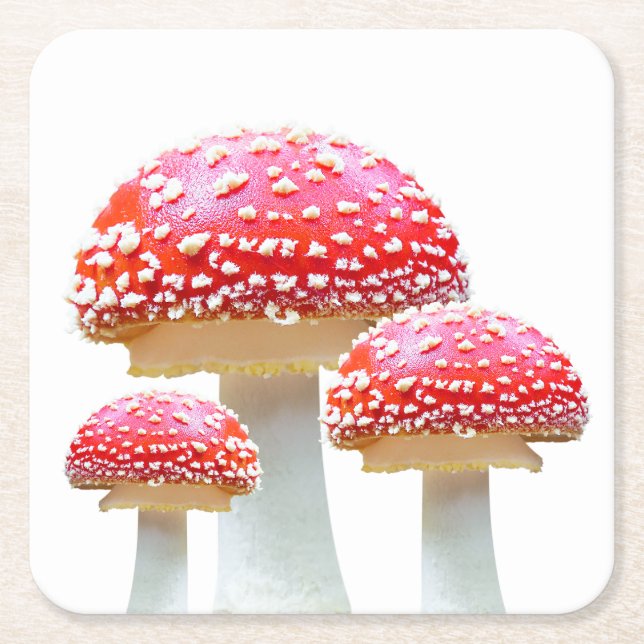 Red Mushroom Paper Coaster (Front)