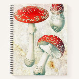 Red mushrooms morel faded distressed background notebook
