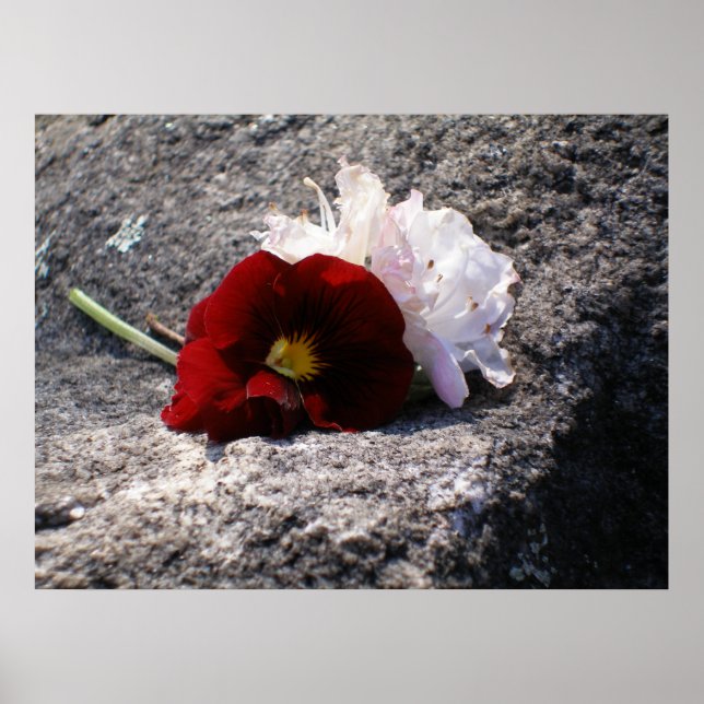 Red-n-white Poster (Front)