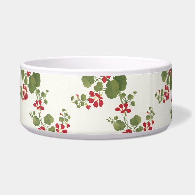 Red Nasturtium Cream Background  (Front)