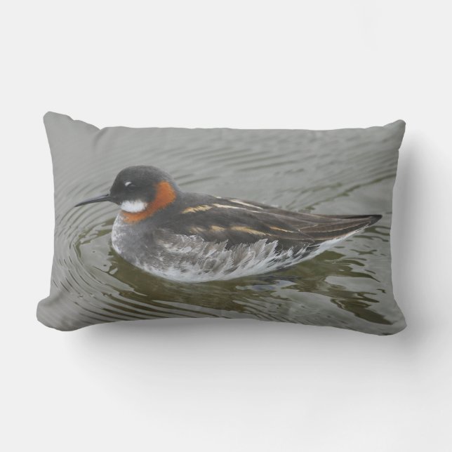Red-Necked Phalarope Cushion by RoseWrites (Front)