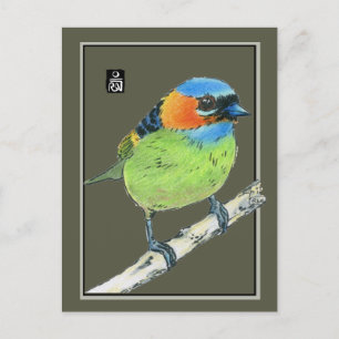 Red-Necked Tanager Bird Postcard