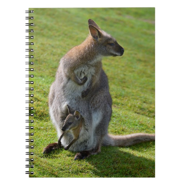 Red-necked wallaby and its joey notebook (Front)