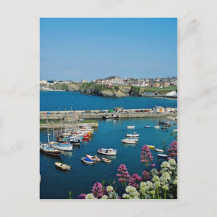Red Newquay harbour, Cornwall, U.K. flowers Postcard
