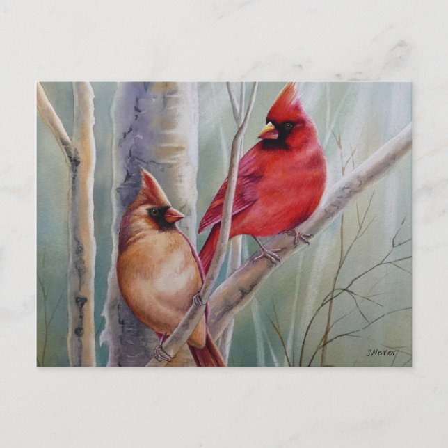 Red Northern Cardinal Bird Pair Watercolor Art Postcard (Front)