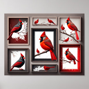 Red Northern Cardinal Bird Poster