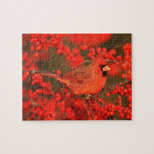 Red Northern Cardinal Male, IL Jigsaw Puzzle