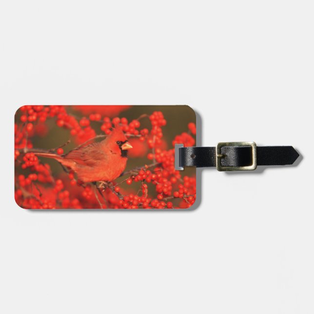 Red Northern Cardinal Male, IL Luggage Tag (Front Horizontal)
