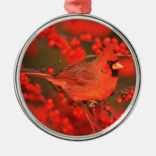 Red Northern Cardinal Male, IL Metal Ornament