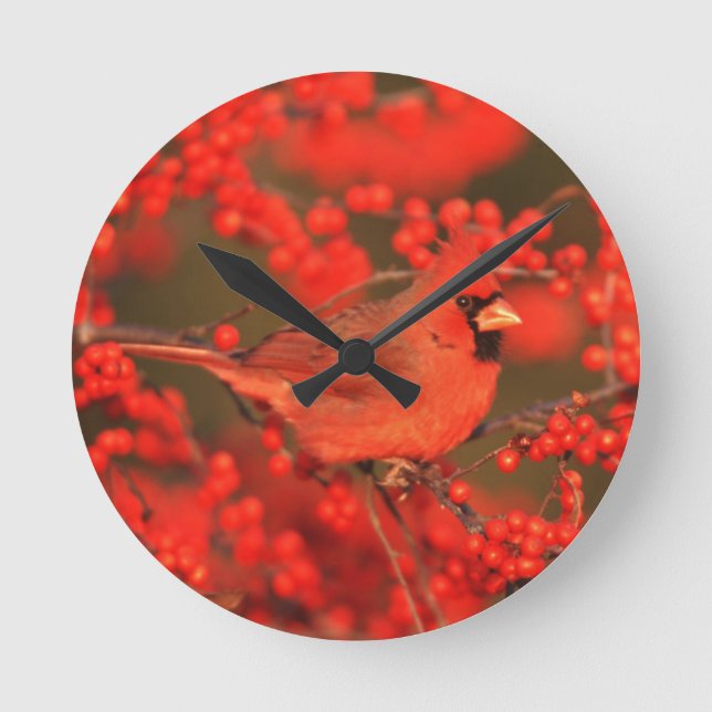 Red Northern Cardinal Male, IL Round Clock (Front)