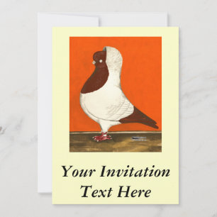 Red Nun Pigeon Invitation