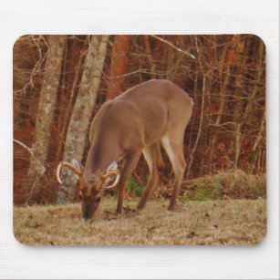 Red Oak Camouflage Stag Buck Deer Feeding Mouse Pad